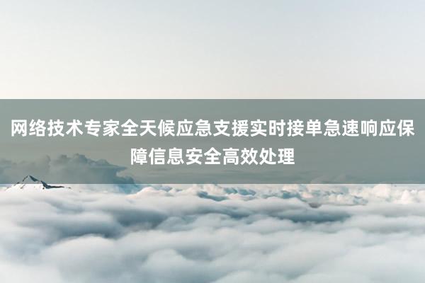 网络技术专家全天候应急支援实时接单急速响应保障信息安全高效处理