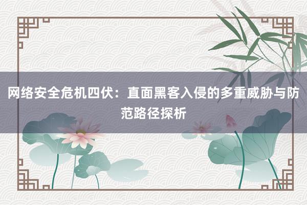 网络安全危机四伏：直面黑客入侵的多重威胁与防范路径探析