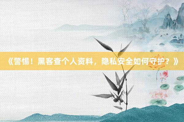 《警惕！黑客查个人资料，隐私安全如何守护？》